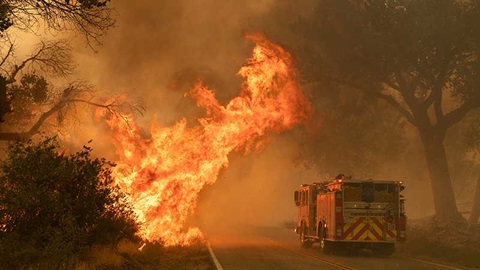 Incendio forestal