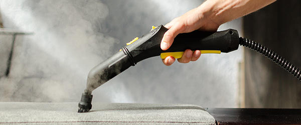 Limpiador a vapor de mano - vaporeta