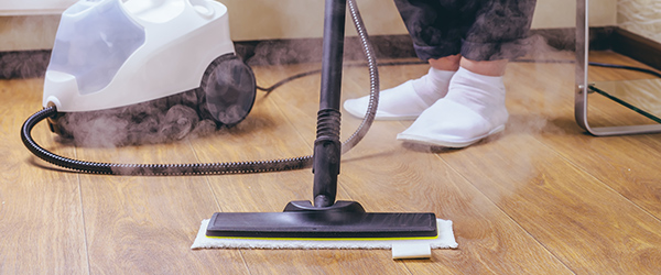 Limpiador a vapor tipo trineo - vaporeta