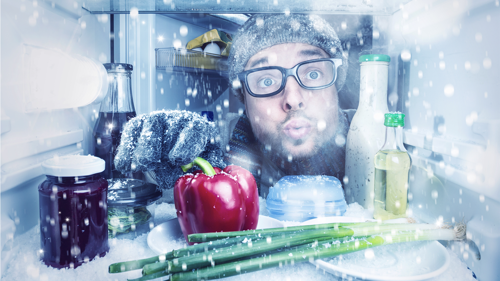 Que Significa Meter Fotos En El Congelador Cómo elegirr un congelador | OCU