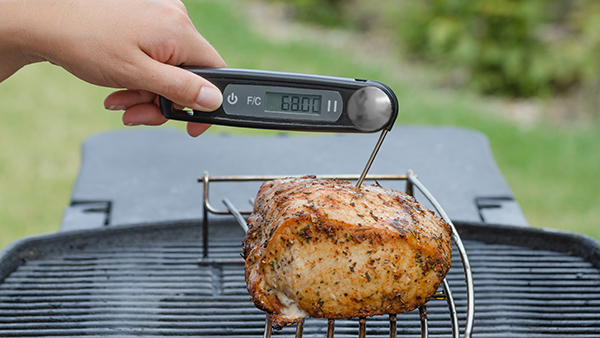 Termómetro digital instantáneo