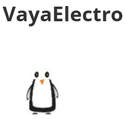 VAYAELECTRO