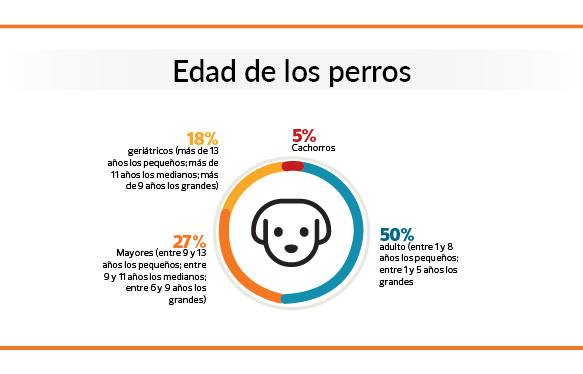 gráfico sobre la edad de los perros