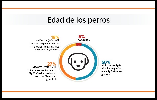 gráfico sobre la edad de los perros