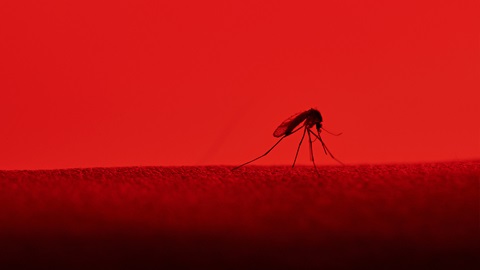 Infecciones emergentes
