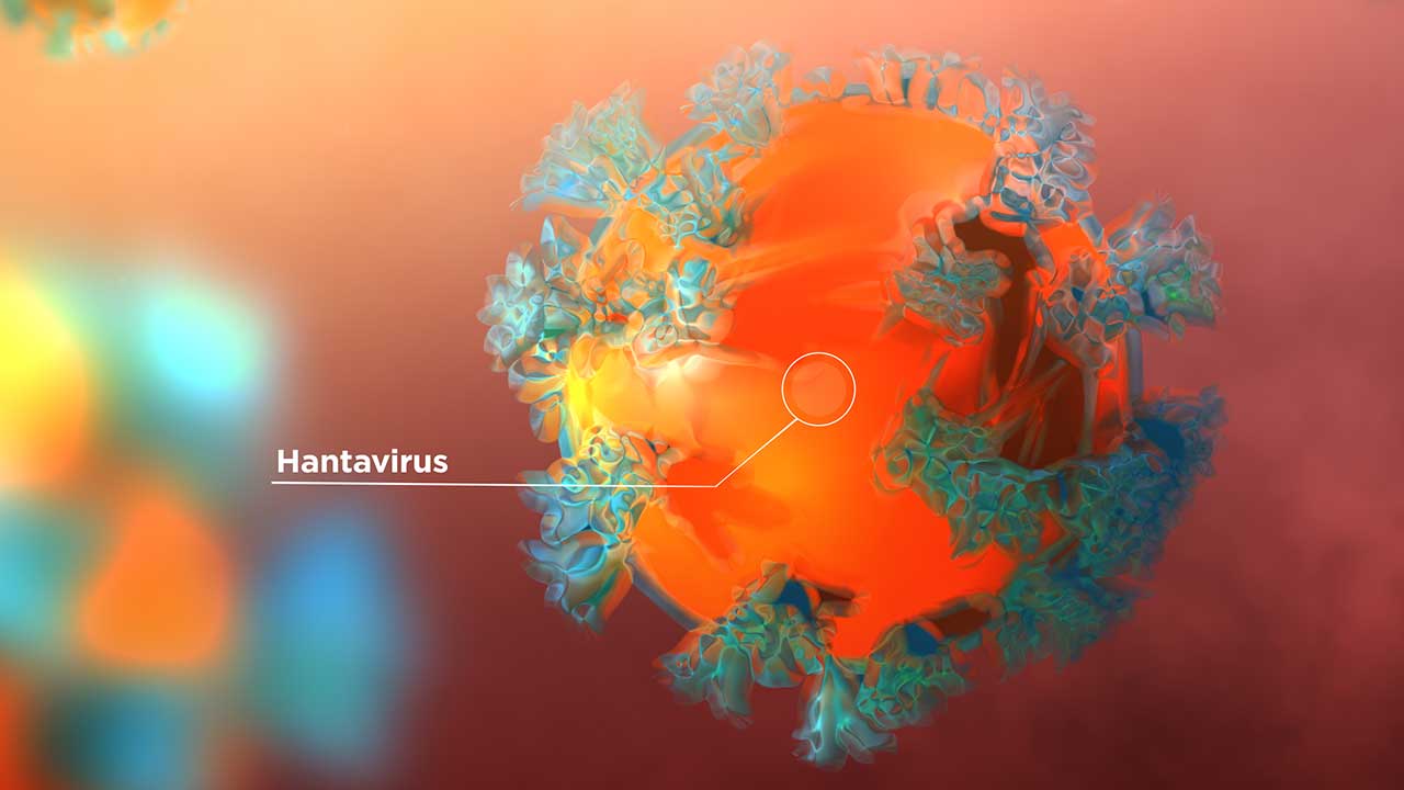 virus