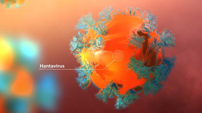 virus