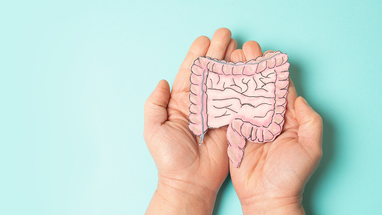 manos que soportan un intestino pintado en papel