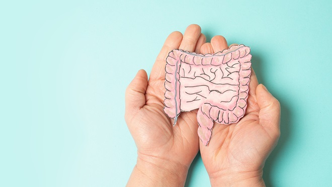 manos que soportan un intestino pintado en papel