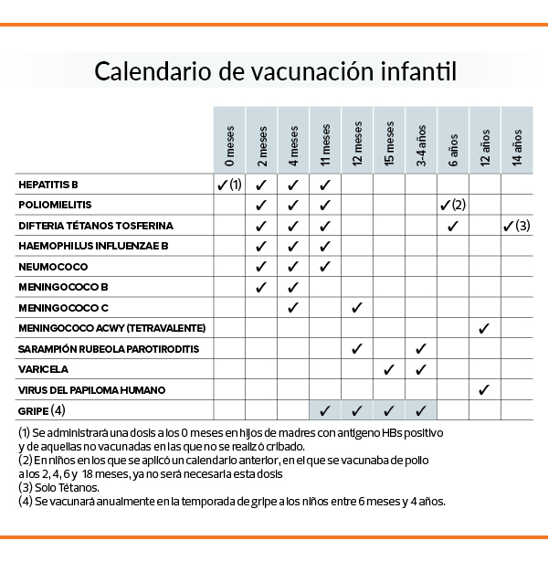 calendario vacunal 23