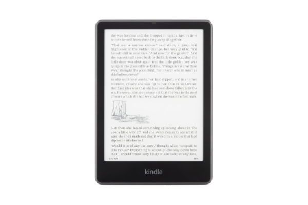 amazon papewhite