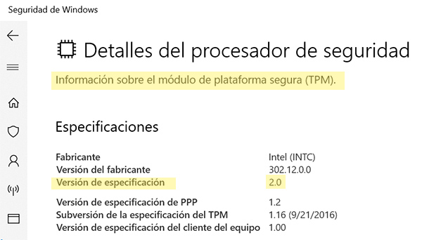 windows 11
