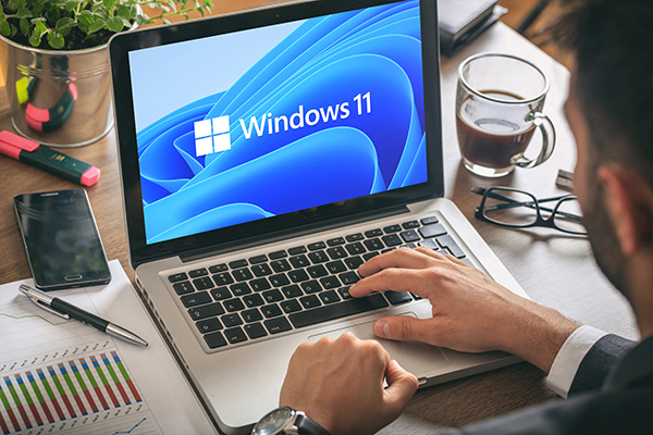 Windows 11