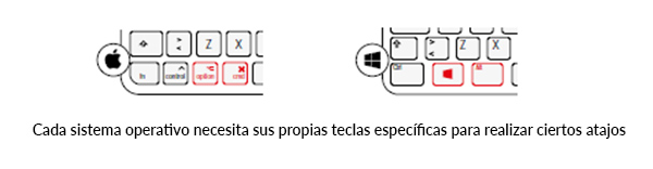 Para Windows o para Mac