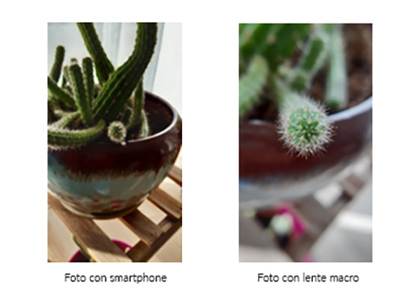 foto macro
