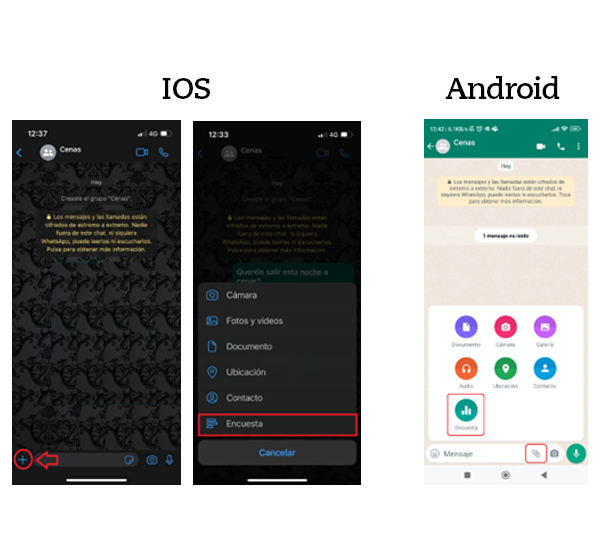 encuesta whatsapp iOS Android