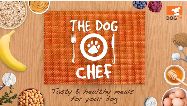 canales especializados