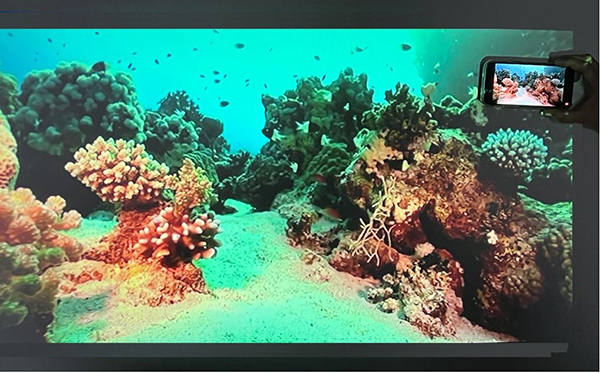 proyeción en fachada pared