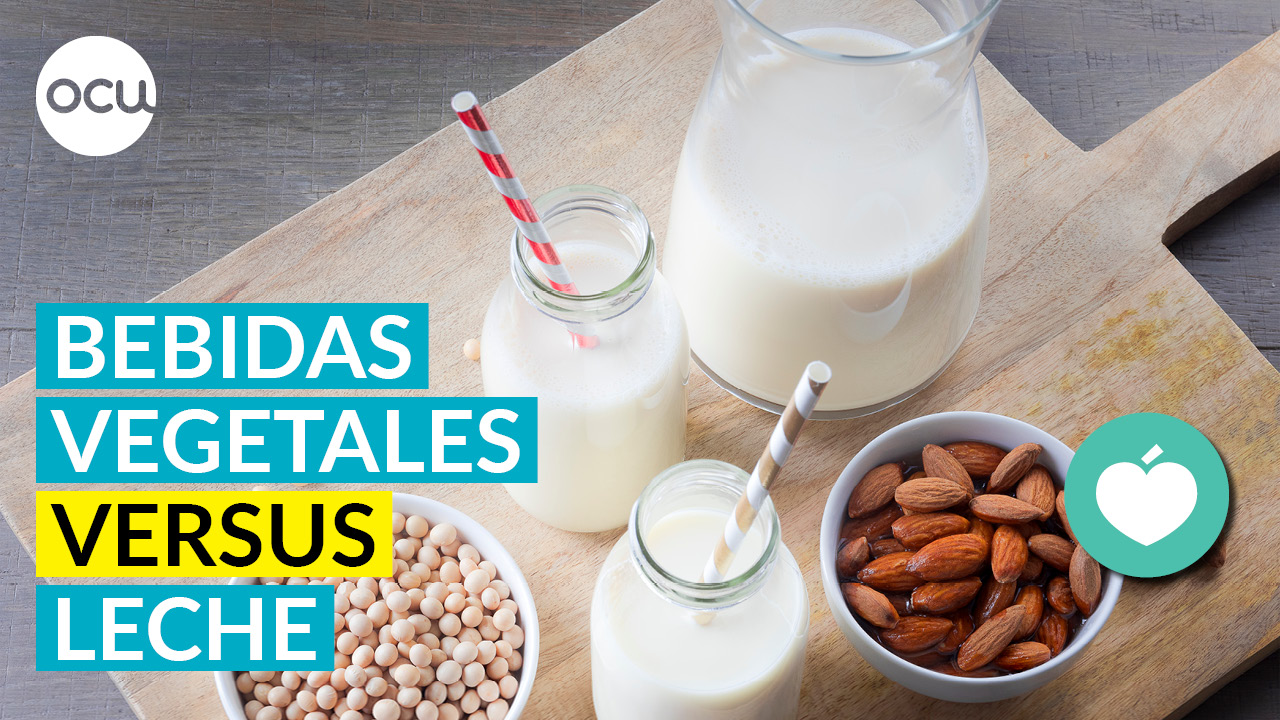 Bebidas vegetales que no son leche