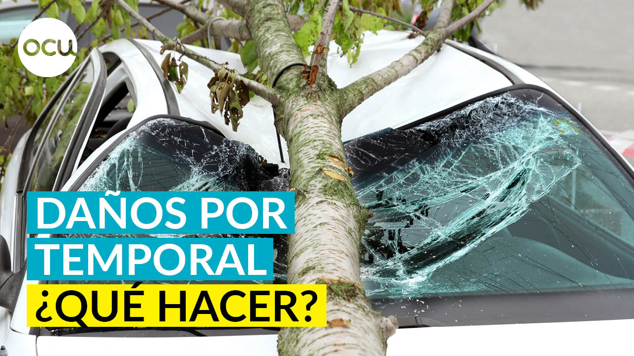 Daños por el temporal