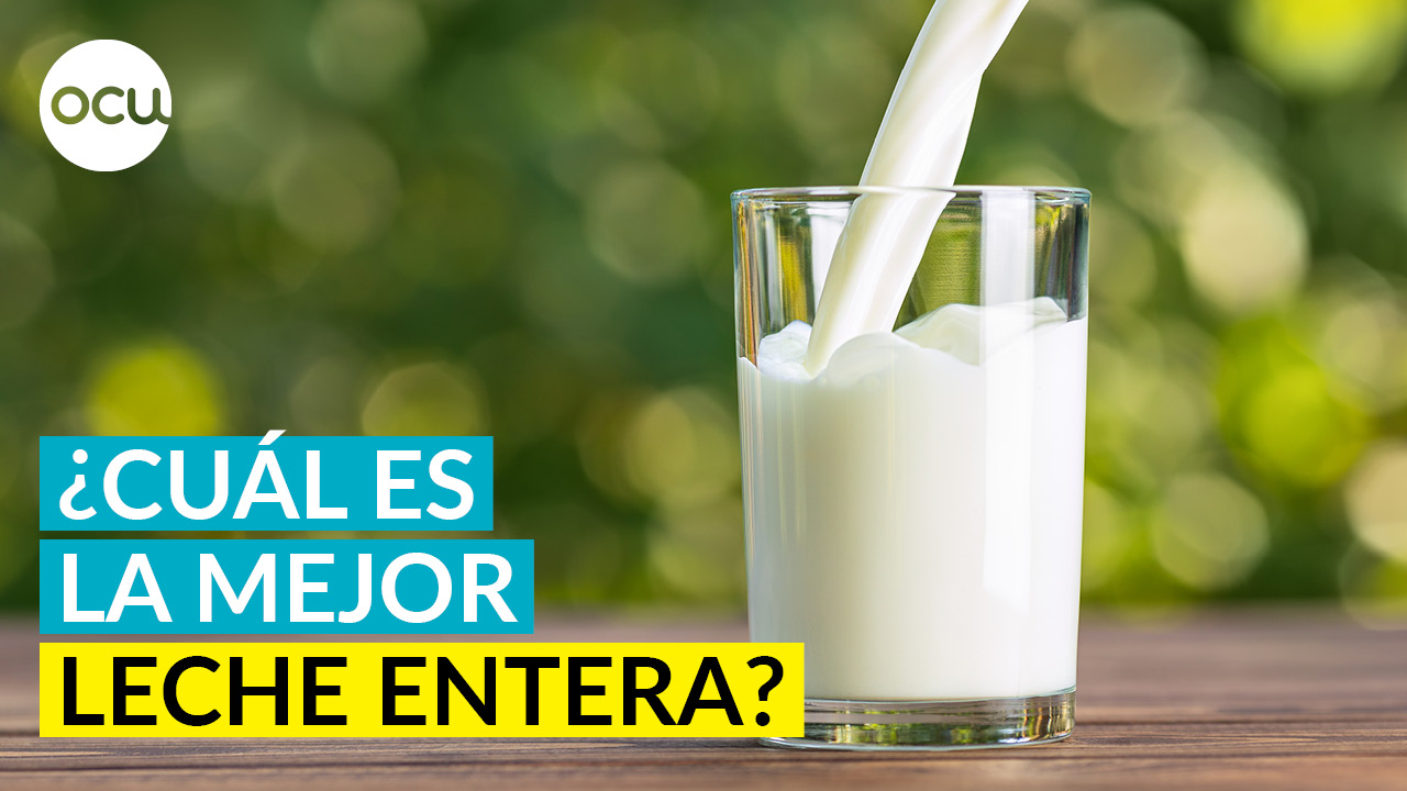 ¿Cuál es la mejor leche entera?
