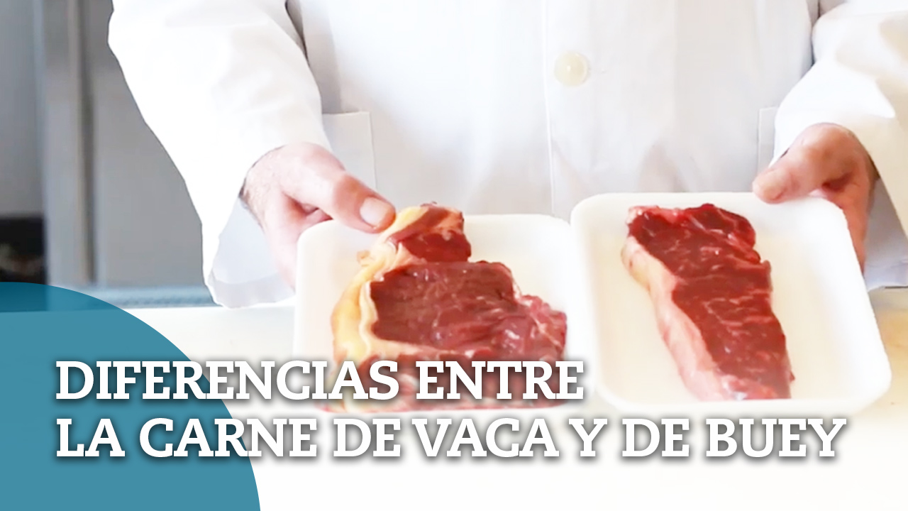 ¿Carne de vaca o de buey?