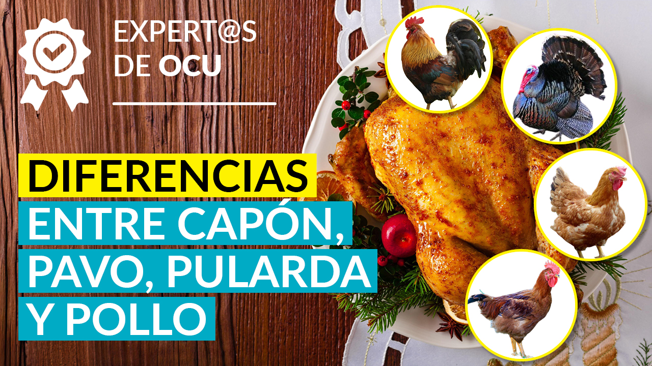 Diferencias entre capón, pularda, pavo y pollo