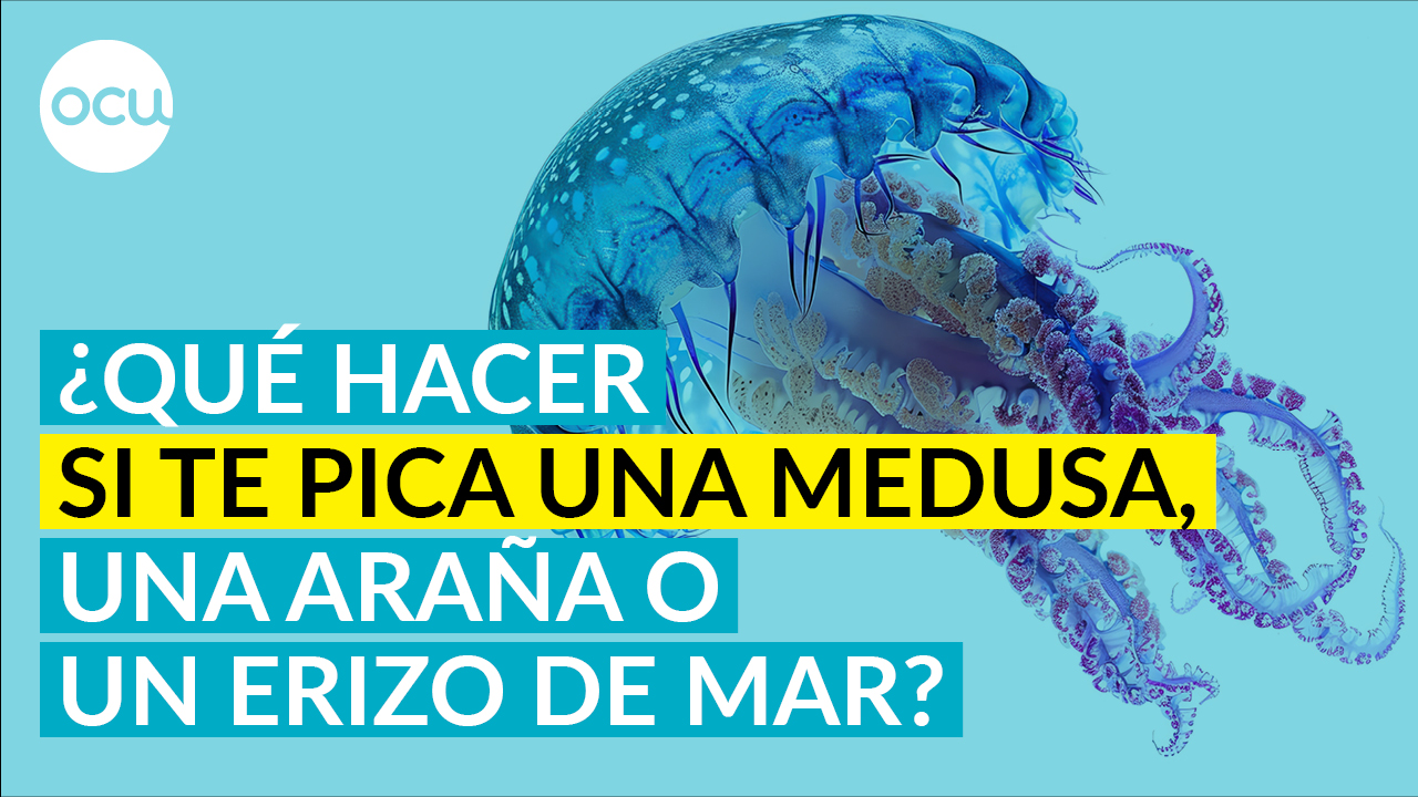 Si te pica una MEDUSA, UNA ARAÑA O UN ERIZO... qué hacer