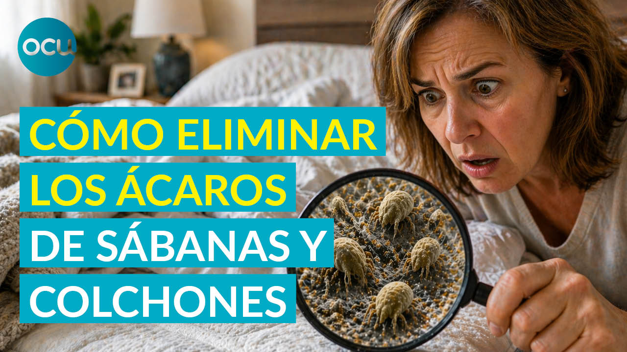 Cómo eliminar los ácaros del colchón 🛏️ | Trucos efectivos