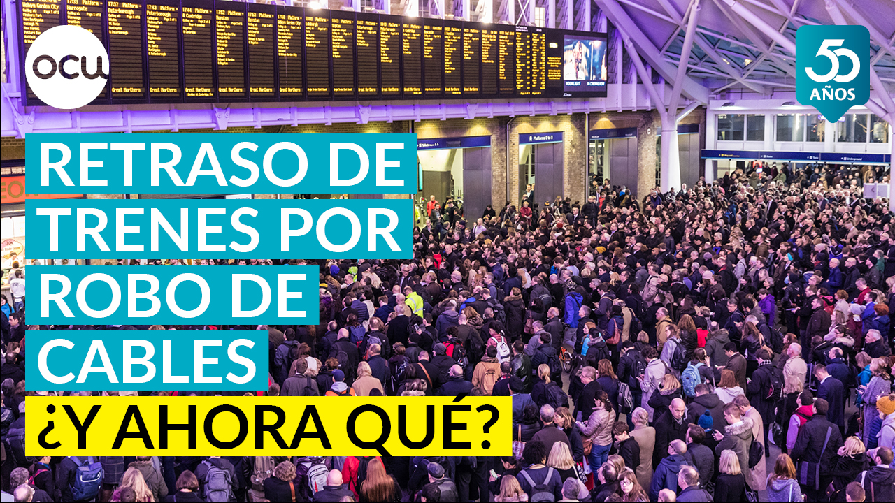 Miles de pasajeros afectados por el robo de cable en el AVE