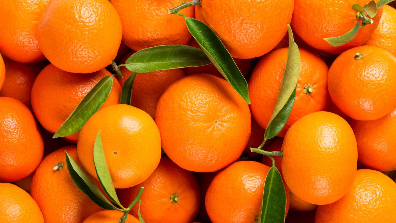 Naranjas Espanolas En Octubre No Ocu