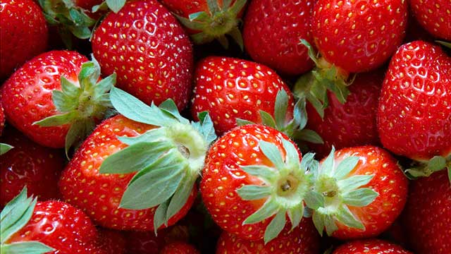 Fresas