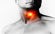 ubicaciones de los ganglios linfáticos en la ingle