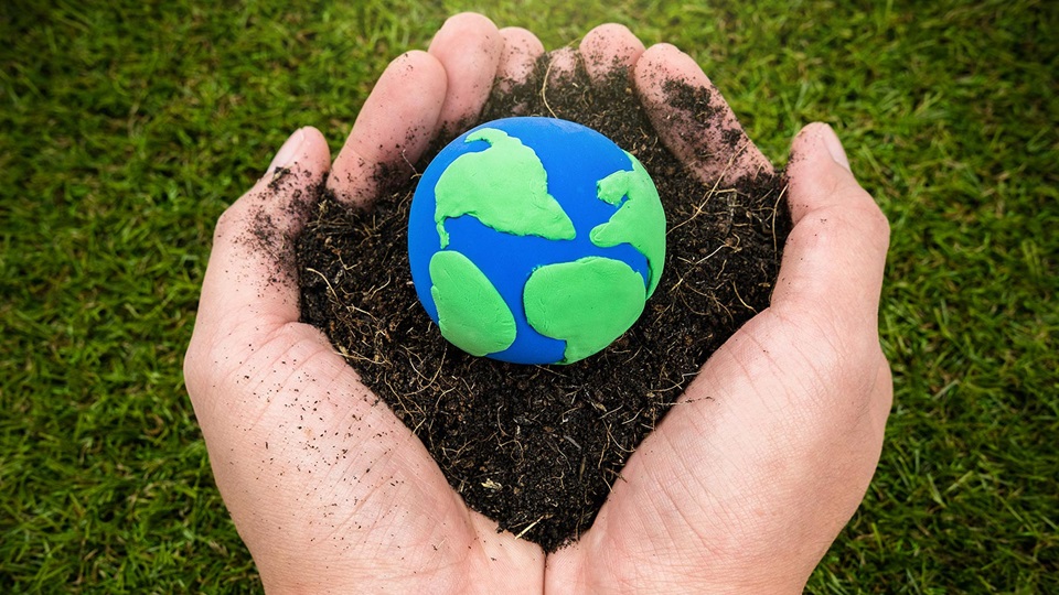 Dia medioambiente