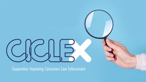 cicle X